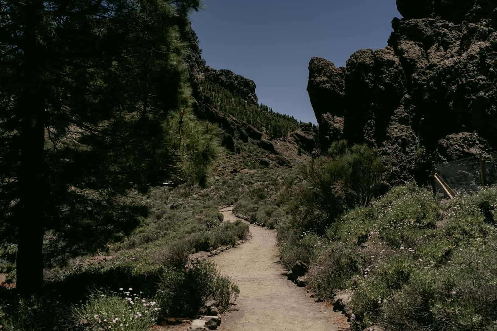A dirt hiking trail between rocky outcrops and shrubs