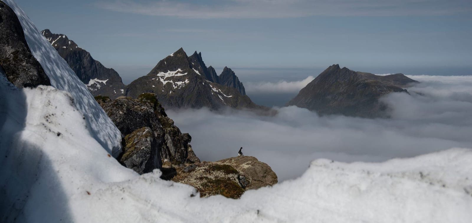 Snow-capped rocky peaks rising above the clouds