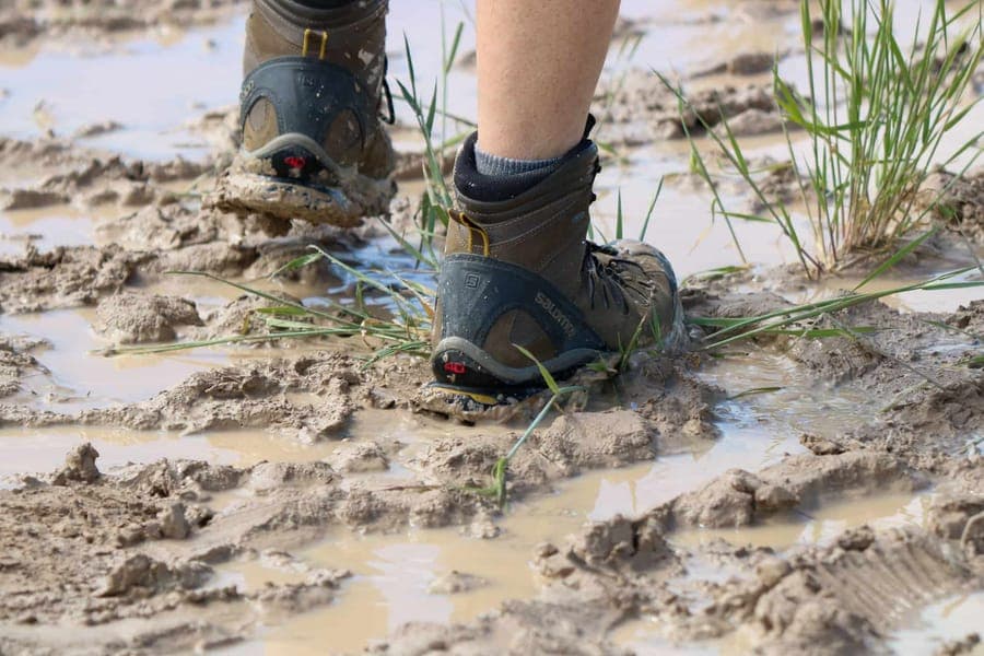 Hiking boots walking through a muddy puddle